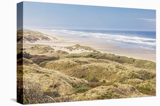 Baker Beach, Oregon, USA. Grassy dunes and a sandy beach on the Oregon coast.-Emily Wilson-Premier Image Canvas