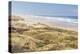 Baker Beach, Oregon, USA. Grassy dunes and a sandy beach on the Oregon coast.-Emily Wilson-Premier Image Canvas