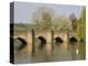 Bakewell Bridge and River Wye, Derbyshire, England, United Kingdom, Europe-Rolf Richardson-Premier Image Canvas