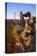 Balanced Rock, Big Bend National Park, Texas-Larry Ditto-Premier Image Canvas