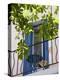 Balcony in Sault, Provence, France-Nadia Isakova-Premier Image Canvas