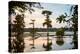 Bald Cypress at Sunset, Atchafalaya Basin, Louisiana, USA-Alison Jones-Premier Image Canvas