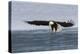 Bald Eagle Alighting-Ken Archer-Premier Image Canvas