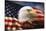 Bald Eagle and American Flag-null-Stretched Canvas