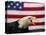 Bald Eagle and American Flag-W. Perry Conway-Premier Image Canvas