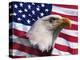 Bald Eagle and American Flag-Joseph Sohm-Premier Image Canvas