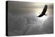 Bald Eagle Flying Above The Clouds-Steve Collender-Premier Image Canvas