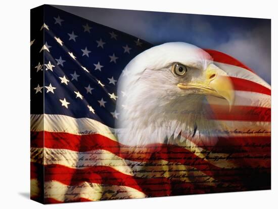 Bald Eagle Head and American Flag-Joseph Sohm-Premier Image Canvas