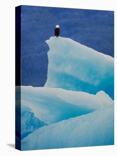 Bald Eagle on an Iceberg in Tracy Arm, Alaska, USA-Charles Sleicher-Premier Image Canvas