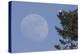 Bald Eagle, Rising Full Moon-Ken Archer-Premier Image Canvas