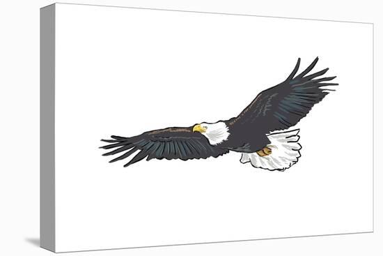 Bald Eagle Soaring - Icon-Lantern Press-Stretched Canvas