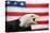 Bald Eagle Squawking with American Flag-W. Perry Conway-Premier Image Canvas