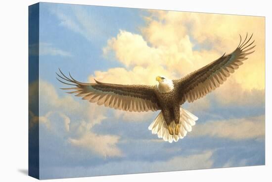 Bald Eagle-Joh Naito-Premier Image Canvas