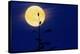 Bald Eagles Silhouetted Against a Full Moon-David Nunuk-Premier Image Canvas