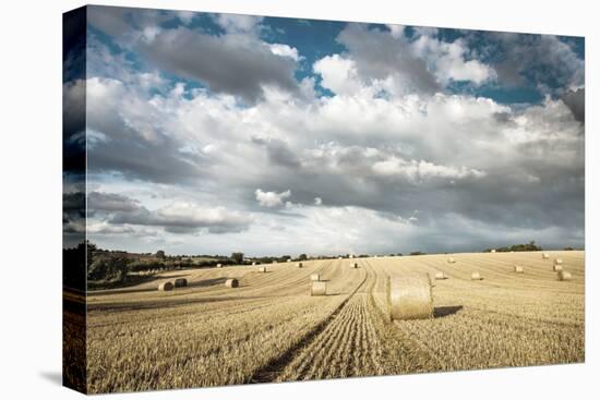 Baled Field, Gloucestershire, England, United Kingdom, Europe-John Alexander-Premier Image Canvas