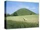 Baled Hay in Field Below Silbury Hill, Wiltshire, England, United Kingdom-David Hunter-Premier Image Canvas