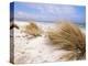 Bales Beach, Seal Bay Con. Park, Kangaroo Island, South Australia, Australia-Neale Clarke-Premier Image Canvas