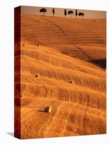 Bales in Rolling Fields-Bob Krist-Premier Image Canvas