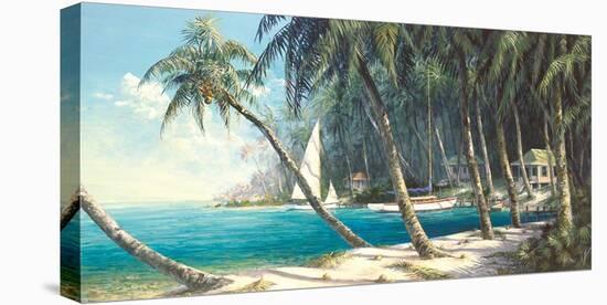 Bali Cove-Art Fronckowiak-Stretched Canvas