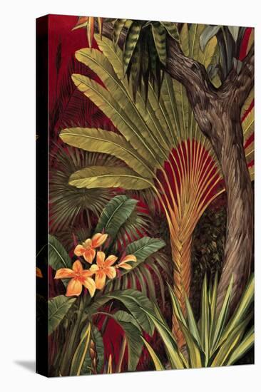Bali Garden II-Rodolfo Jimenez-Stretched Canvas
