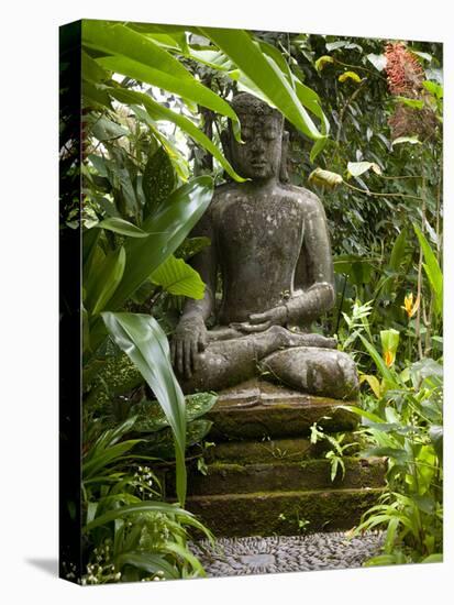 Bali, Ubud, a Statue of buddha Sits Serenely in Gardens-Niels Van Gijn-Premier Image Canvas