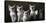 Balinese Cat and Kittens-Yann Arthus-Bertrand-Stretched Canvas