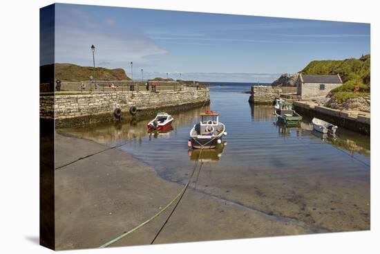 Balintoy harbour, near Giant's Causeway, County Antrim, Ulster, Northern Ireland, United Kingdom, E-Nigel Hicks-Premier Image Canvas