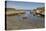 Balintoy harbour, near Giant's Causeway, County Antrim, Ulster, Northern Ireland, United Kingdom, E-Nigel Hicks-Premier Image Canvas