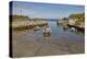 Balintoy harbour, near Giant's Causeway, County Antrim, Ulster, Northern Ireland, United Kingdom, E-Nigel Hicks-Premier Image Canvas