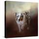 Ball of Energy Australian Shepherd-Jai Johnson-Premier Image Canvas