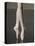 Ballerina en pointe-Erik Isakson-Premier Image Canvas