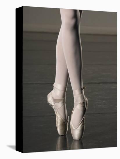 Ballerina en pointe-Erik Isakson-Premier Image Canvas