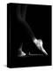Ballerina Shoes-Paulo Medeiros-Premier Image Canvas