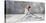 Ballerina-Pierre Benson-Stretched Canvas