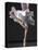 Ballerina-Erik Isakson-Premier Image Canvas