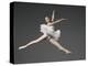 Ballet dancer-Erik Isakson-Premier Image Canvas