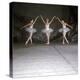 Ballet Dancers Performing a Scene from Swan Lake-null-Premier Image Canvas