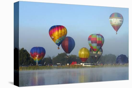 Balloons over Waikato Festival, Lake Rotoroa, North Island, New Zealand-David Wall-Premier Image Canvas