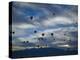 Balloons Soaring About Sandia Mountains During Albuquerque Balloon Fiesta-James Shive-Premier Image Canvas