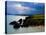 Ballydowane Beach, Copper Coast, County Waterford, Ireland-null-Premier Image Canvas