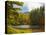 Balsam Lake in the Nantahala National Forest, Jackson County, North Carolina, United States of A...-Panoramic Images-Premier Image Canvas