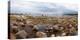 Baltic Sea coast with granite boulders on a cloudy day, Estonia, Europe-Mykola Iegorov-Premier Image Canvas