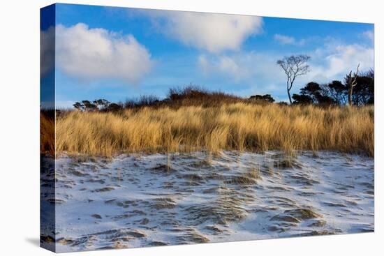 Baltic Sea, Winter-Catharina Lux-Premier Image Canvas