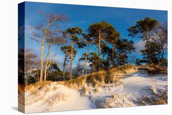 Baltic Sea, Winter-Catharina Lux-Premier Image Canvas