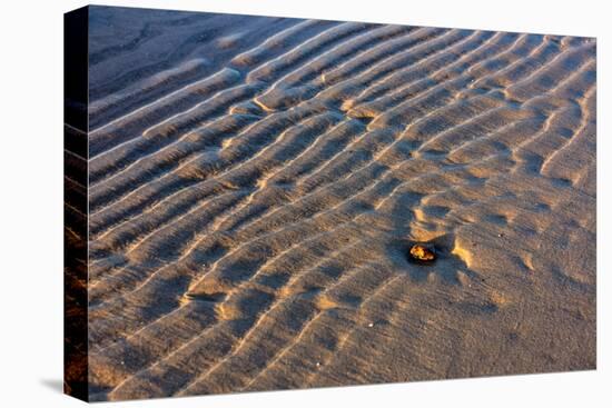 Baltic Sea, Winter-Catharina Lux-Premier Image Canvas