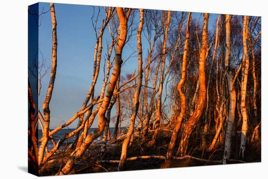 Baltic Sea, Winter-Catharina Lux-Premier Image Canvas