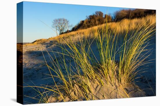 Baltic Sea, Winter-Catharina Lux-Premier Image Canvas