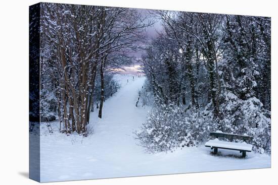 Baltic Sea, Winter-Catharina Lux-Premier Image Canvas