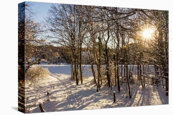 Baltic Sea, Winter-Catharina Lux-Premier Image Canvas