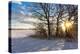 Baltic Sea, Winter-Catharina Lux-Premier Image Canvas